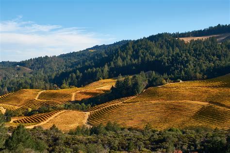 northern california wine tour